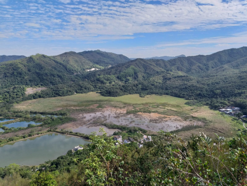 On a 120m knoll with a levelled summit, near Luk Keng, stand some 7 pillboxes connected by a system of communication trenches with, further downhill, at least 6 smaller satellite pillboxes that each can only accommodate 1 soldier. (photo credit: The University of Hong Kong) 